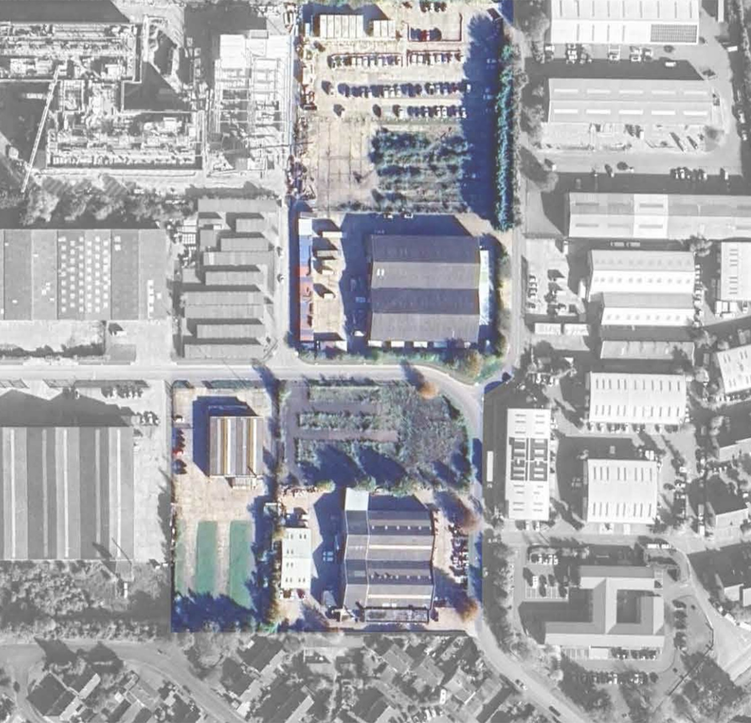 The Site